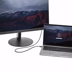 StarTech.com Câble adaptateur USB Type-C vers DisplayPort de 1 m - 4K 60 Hz - Vue supplémentaire 5