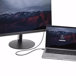 StarTech.com Câble adaptateur USB Type-C vers DisplayPort de 1,8 m - 4K 60 Hz - Vue supplémentaire 5
