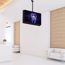 StarTech.com Double support de plafond pour TVs dos à dos avec poteau réglable - Vue supplémentaire 8