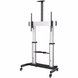 StarTech.com Support Téléviseur Mobile - Chariot Support Télé Robuste Écrans 60-100" 100kg - Support TV Écran Plat sur Pied R ...