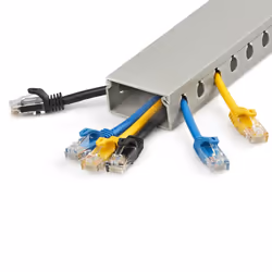 StarTech.com Chemin de Câbles PVC avec Couvercle - 50mm W x 25mm H - Longueur 2m - Slots Parallels 8mm, Goulotte Cache Câble Murale Câble Réseau PVC, max. 20 câbles, Homologué UL