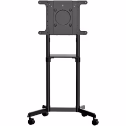 StarTech.com Chariot Meuble TV - Support TV sur Roulettes Portable pour Écrans VESA 37-70" (70kg) - Pied TV avec Étagère de R ...