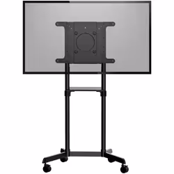 StarTech.com Chariot Meuble TV - Support TV sur Roulettes Portable pour Écrans VESA 37-70" (70kg) - Pied TV avec Étagère de Rangement - Inclinable - Gabarit de Montage Universel Télévision - Vue supplémentaire 4