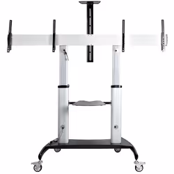 StarTech.com STNDMTVDUO support pour téléviseur 60" Noir, Argent