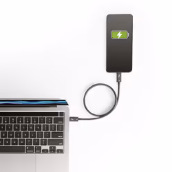 StarTech.com Câble Thunderbolt 4 de 50cm - 40Gbps - 100W Power Delivery - Vidéo 4K/8K - Cordon Thunderbolt Certifié par Intel - Compatible avec USB 4/Thunderbolt 3/USB 3.2/USB Type-C/DisplayPort - Vue supplémentaire 7