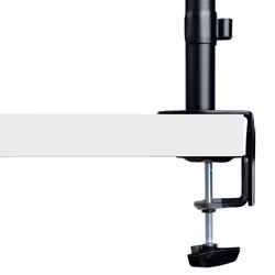 StarTech.com Support de Bureau pour Ordinateur Portable - Support PC Portable (4,5kg) - Support de Bureau pour Écran/Moniteur jusqu'à 34" (8kg) - Support Bureau VESA - Bras Ordinateur Portable Bureau - Vue supplémentaire 16