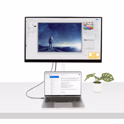 StarTech.com Câble Thunderbolt 4 de 1m - 40Gbps - 100W Power Delivery - Vidéo 4K/8K - Cordon Thunderbolt Certifié par Intel - Compatible avec USB 4/Thunderbolt 3/USB 3.2/USB Type-C/DisplayPort - Vue supplémentaire 5