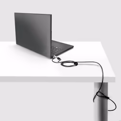 StarTech.com NBLWK-LAPTOP-LOCK câble antivol Noir, Argent 2 m - Vue supplémentaire 7