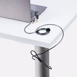 StarTech.com Câble Antivol pour Ordinateur Portable de 2m - Câble de Sécurité pour PC Compatible avec Noble Wedge/Nano/K-Slot, Câble de Verrouillage à Clé, Câble Antivol en Acier au Carbone Résistant aux Coupures - Vue supplémentaire 4