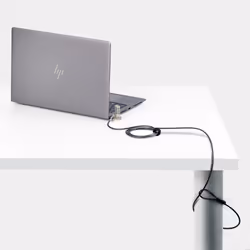 StarTech.com Câble Antivol pour Ordinateur Portable de 2m - Câble de Sécurité pour PC Portable, Compatible avec Noble Wedge®/Nano/K-Slot - Câble de Verrouillage avec Serrure à Combinaison sans Clé, Câble Anti-Vol - Vue supplémentaire 4