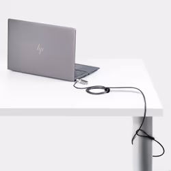 StarTech.com SNANOC4D-LAPTOP-LOCK câble antivol Noir, Argent 2 m - Vue supplémentaire 7