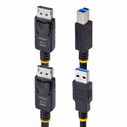 StarTech.com Câble KVM DisplayPort de 3m et USB 5Gbps, 4K 60Hz, Câble Combo DP 1.2 et USB pour Commutateurs/Switchs KVM