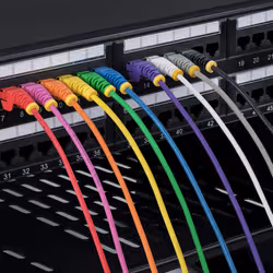 StarTech.com Câble Ethernet CAT6 Orange Fin de 2m, Sans Accroc, 100W PoE, UTP, LSZH, Fil de Cuivre Pur 28AWG, Cordon Patch Réseau RJ45 avec Serre-Câble, Contrôlé Fluke - Vue supplémentaire 5