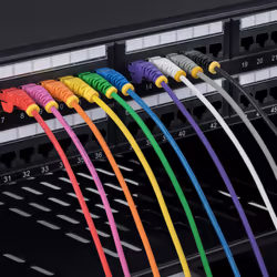 StarTech.com N6PAT100CMPKS câble de réseau Rose 1 m Cat6 U/UTP (UTP) - Vue supplémentaire 5