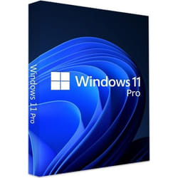 Windows 11 Pro - clé dactivation - 1 PC