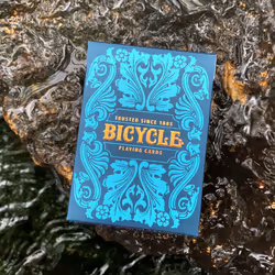 Bicycle SEA KING - Vue supplémentaire 4