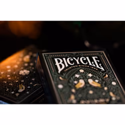 Bicycle AVIARY