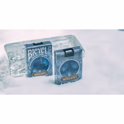 Bicycle World Of Warcaft Wrath Of The Lich King - Vue supplémentaire 11