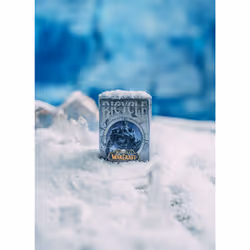 Bicycle World Of Warcaft Wrath Of The Lich King - Vue supplémentaire 13