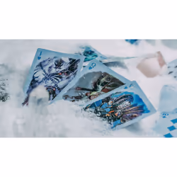 Bicycle World Of Warcaft Wrath Of The Lich King - Vue supplémentaire 7