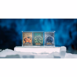 Bicycle World Of Warcaft Wrath Of The Lich King - Vue supplémentaire 9