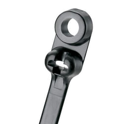 Panduit BC2S-S10-C0 serre-câbles Nylon Noir 100 pièce(s)