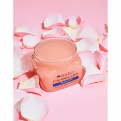 Tree Hut Moroccan Rose Gommage corporel 510 g - Vue supplémentaire 5