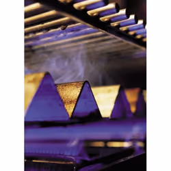 Weber 0077924074479 pièce et accessoire de four Noir Acier inoxydable