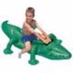 Crocodile à chevaucher