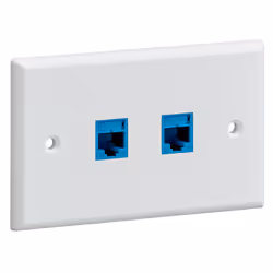 Leviton 41070-2WS prise de courant RJ-45 Blanc