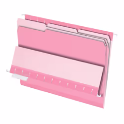 Pendaflex Interior File Folder, Dossier manila, lettre, Rose, Paysage, 1 pochettes, Papier