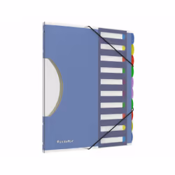 Pendaflex 50995, Project folder, lettre, Papier, Multicolore, Brillant, Paysage/portrait