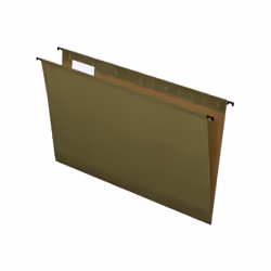 Pendaflex 6153 1/5, Legal, Papier, Plastique, Vert, 243 mm, 71 mm, 406 mm