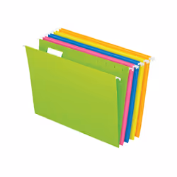 Pendaflex 81672, lettre, Papier, Plastique, Bleu, Vert, Orange, Rose, Jaune, 243 mm, 59 mm, 330 mm