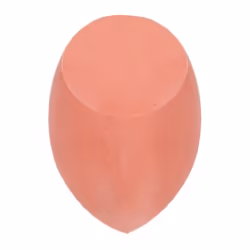 Real Techniques Miracle Face + Body Sponge, Arrondi, Orange, Latex, 1 pièce(s)