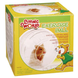 Living World Boule d'Exercice