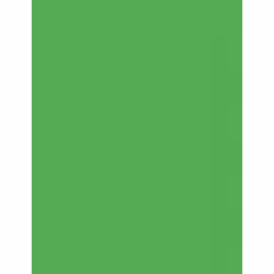 Pacon P104317, Universel, Letter (215.9x279.4 mm), Fluorescent, 100 feuilles, 90 g/m², Vert