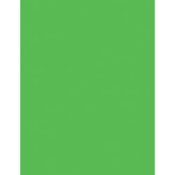 Pacon P104317 papier jet d'encre Letter (215.9x279.4 mm) Fluorescent 100 feuilles Vert