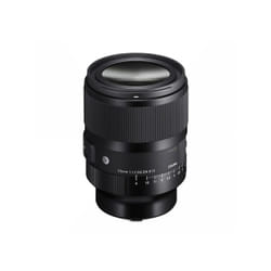 Sigma Art 316 Appareil-photo compact Objectif standard Noir