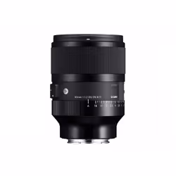 Sigma Art 316 Appareil-photo compact Objectif standard Noir