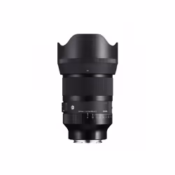 Sigma Art 316 Appareil-photo compact Objectif standard Noir