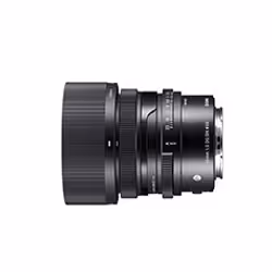 Sigma 35mm F2 DG DN MILC Objectif standard Noir