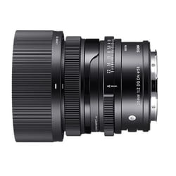 Sigma 35mm F2 DG DN MILC Objectif large Noir