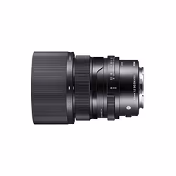 Sigma 65mm F2 DG DN, Objectif standard, 12/9, Sony E, Auto focus