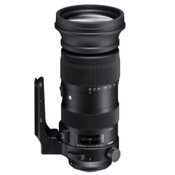 Sigma 60-600mm F4.5-6.3 DG OS HSM S SLR Téléobjectif