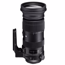 Sigma 60-600mm F4.5-6.3 DG OS HSM S, Téléobjectif, 25/19, 60 - 600 mm, Auto focus
