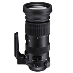 Sigma 60-600mm F4.5-6.3 DG OS HSM S MILC Téléobjectif Noir