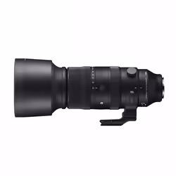 Sigma 60-600mm F4.5-6.3 DG DN OS, Ultra téléobjectif zoom, 27/19, 60 - 600 mm, L mount