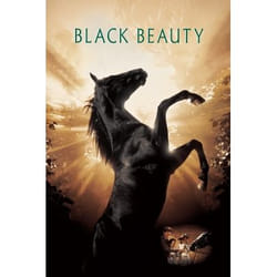 Warner Home Video Black Beauty, DVD Anglais