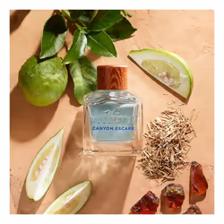 Canyon Escape For Him eau de toilette vaporisateur 50 ml